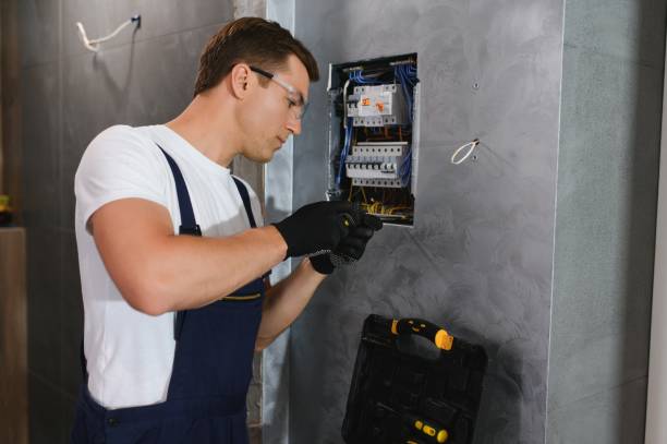Best Electric Panel Repair  in Berly, MO